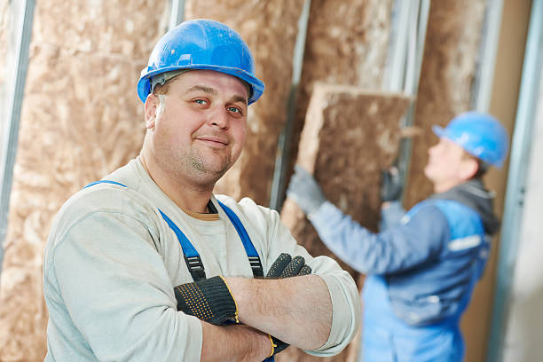 Trusted Lake Shore, MD Insulation Experts